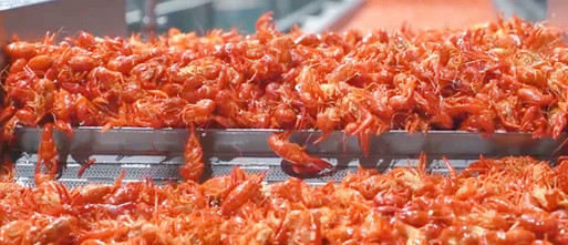 【預(yù)制菜網(wǎng)帶】某小龍蝦集團這么選擇